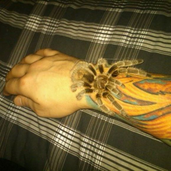 Meet your Posher, Corey - Picture 1 of 1